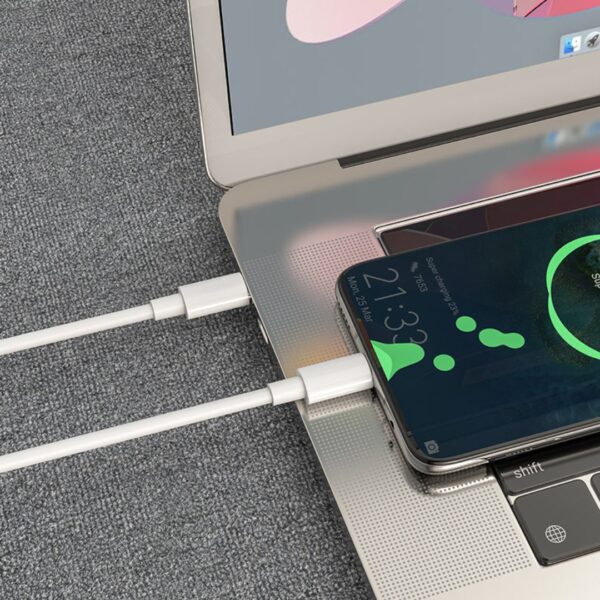 Fabfunk Type-C to Type-C Cable | Fast Charging & Data Transfer - Image 6